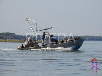 Boat 039