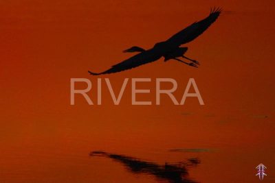 Rivera 156